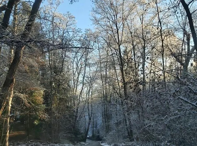 Tony Slapy (Prague-West)